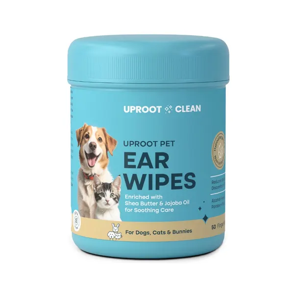 Complete Guide to Pet Ear Care: When and How to Use Ear Wipes for Healthy Ears
