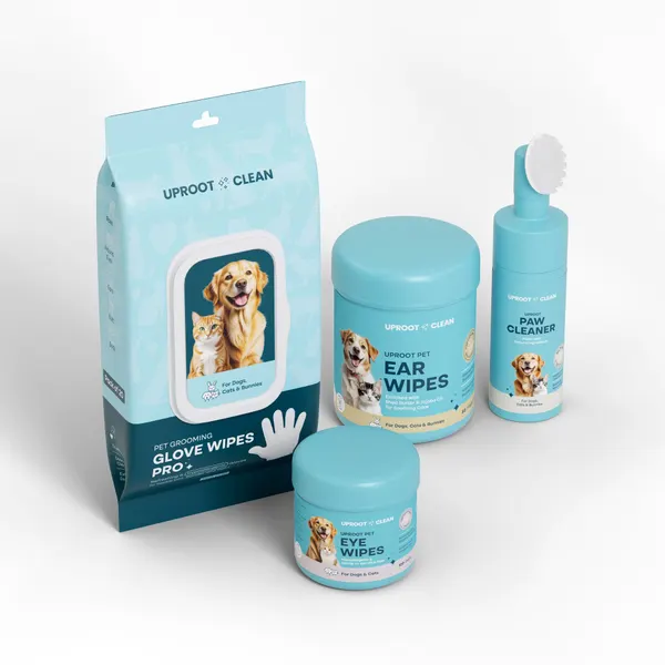 What to Look for in a Pet Hair Remover for Furniture: A Complete Buying Guide