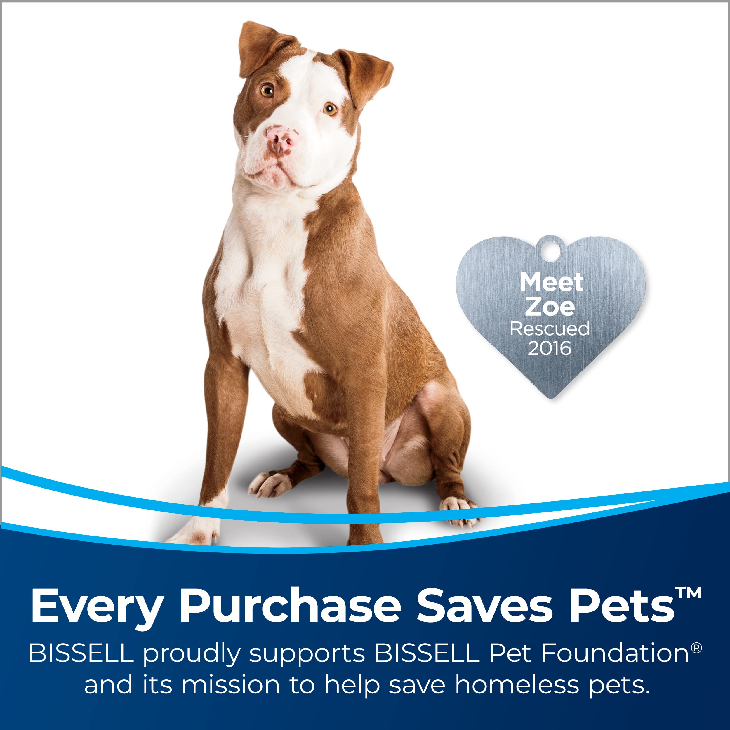 Bissell CleanView Swivel Pet Upright Vacuum, Swivel Steering for Maneuverability, Triple Action Brush Roll for Pet Hair, Large Capacity Dirt Tank & Scatter detail image 2