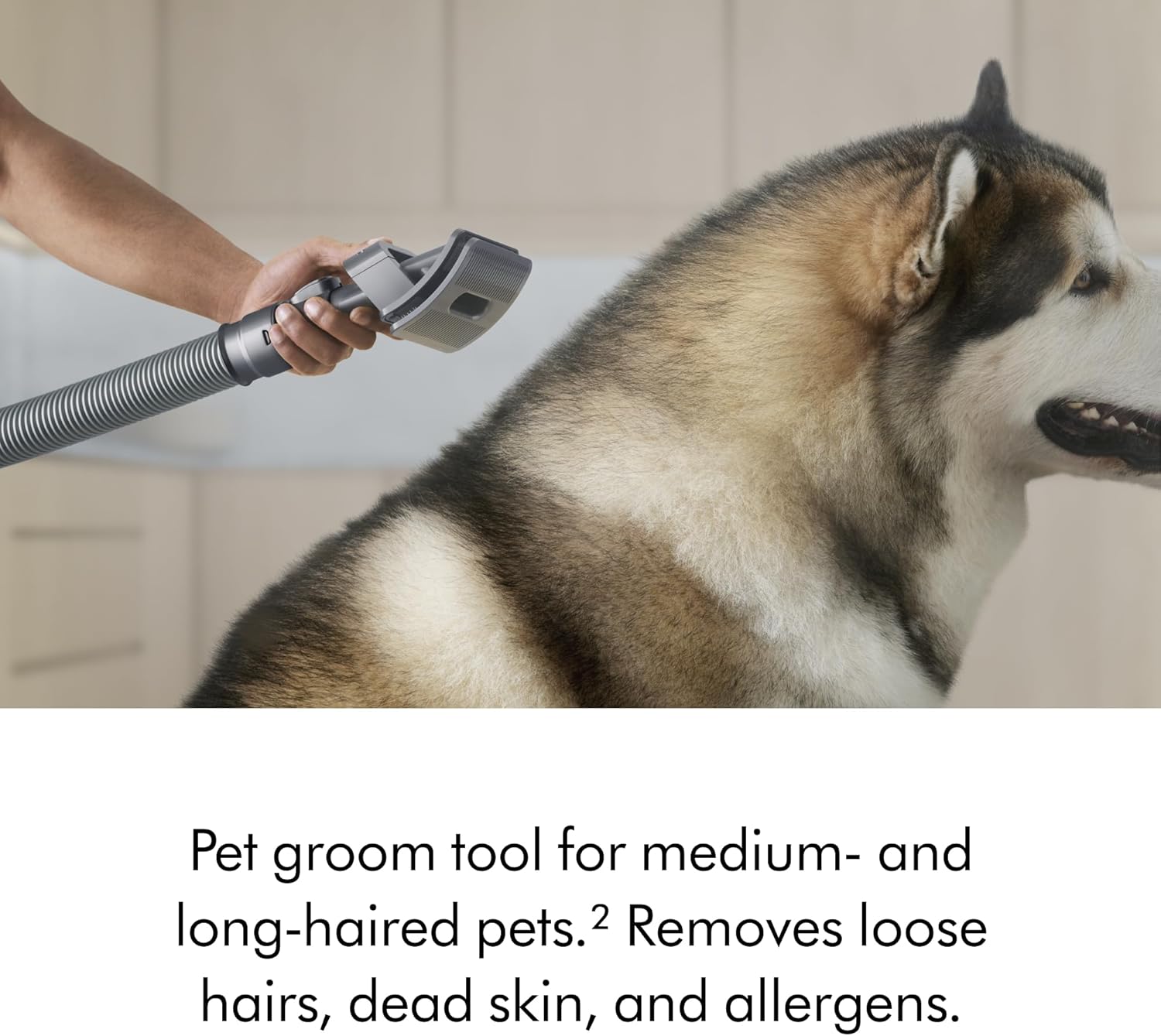 Dyson Ball Animal 3 Extra Upright Vacuum - View 6