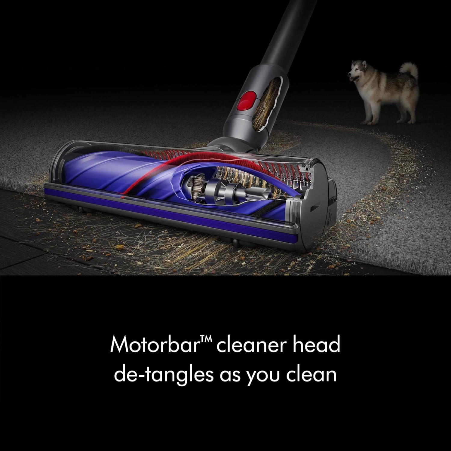 Dyson V8 Cordless Vacuum, Cleans Hard Floors and Carpets, Detangles, Converts to Handheld, 115AW, 2 Power Modes, Up to 40 Minutes¹ detail 15
