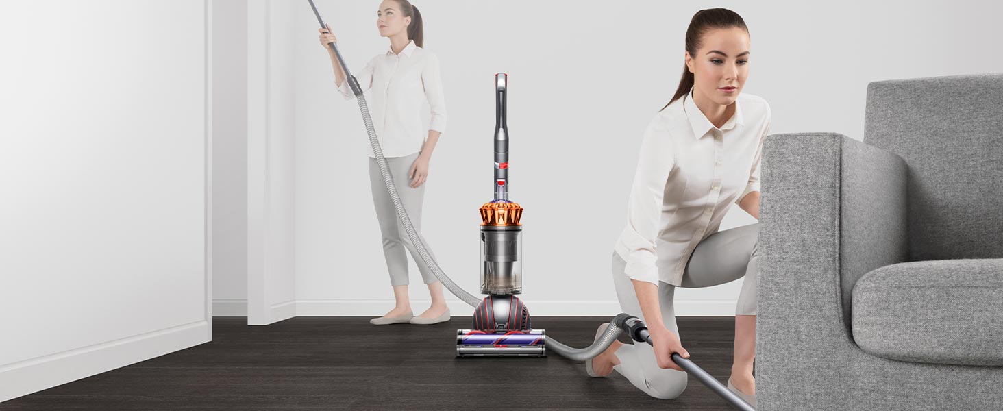 Dyson Ball Animal 3 Extra Upright Vacuum detail 1