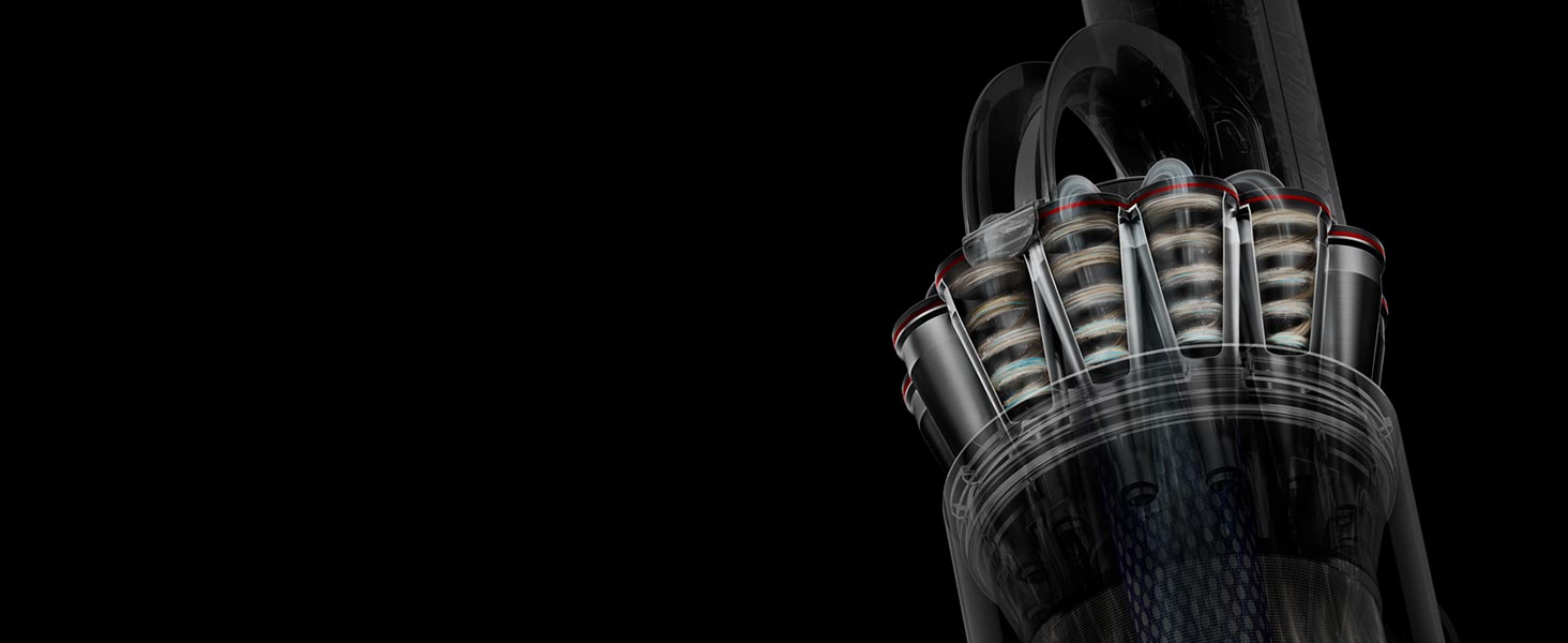 Dyson Ball Animal 3 Extra Upright Vacuum detail 4