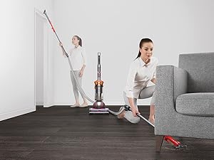 Dyson Ball Animal 3 Extra Upright Vacuum detail 10
