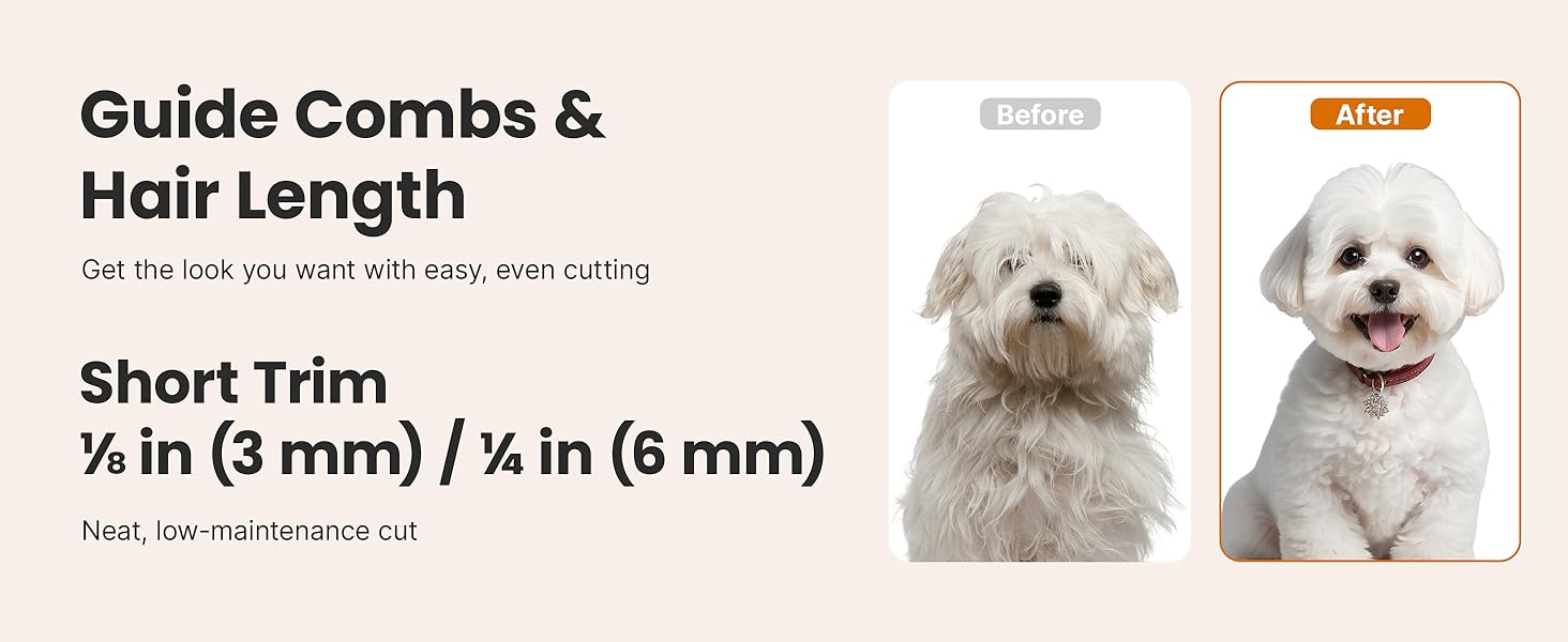 Neakasa P1 Pro Dog Grooming Vacuum Kit, 6-in-1 Pet Hair Grooming with Clippers and Vacuum, 9000Pa Suction, Low Noise, 1L Dust Cup for Home Shedding & Trimming detail 11