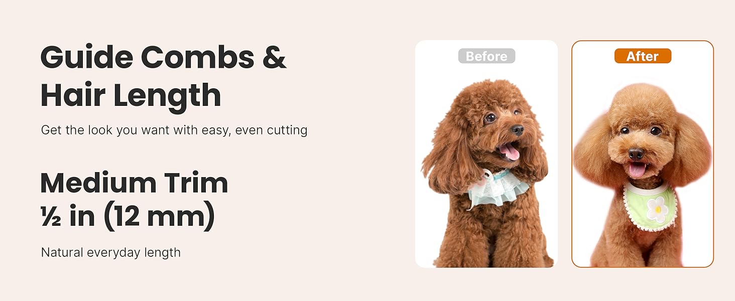 Neakasa P1 Pro Dog Grooming Vacuum Kit, 6-in-1 Pet Hair Grooming with Clippers and Vacuum, 9000Pa Suction, Low Noise, 1L Dust Cup for Home Shedding & Trimming detail 12