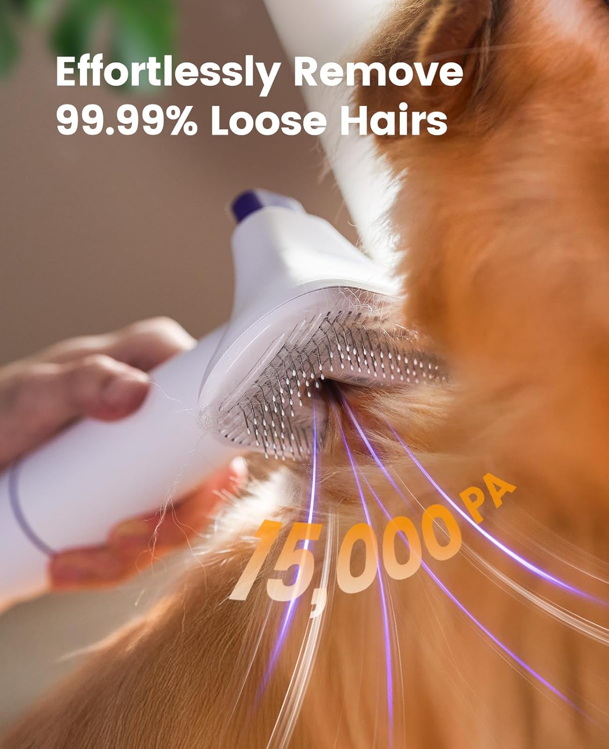 oneisall Dog Grooming Vacuum Kit: 15000Pa Shedding Brush with Grooming Tools, 3 Suction Low Noise, for Pet Thick and Undercoat, 1.5L Dust Cup, Dog Hair Vacuum, Home Cleaning, LM5 detail 12