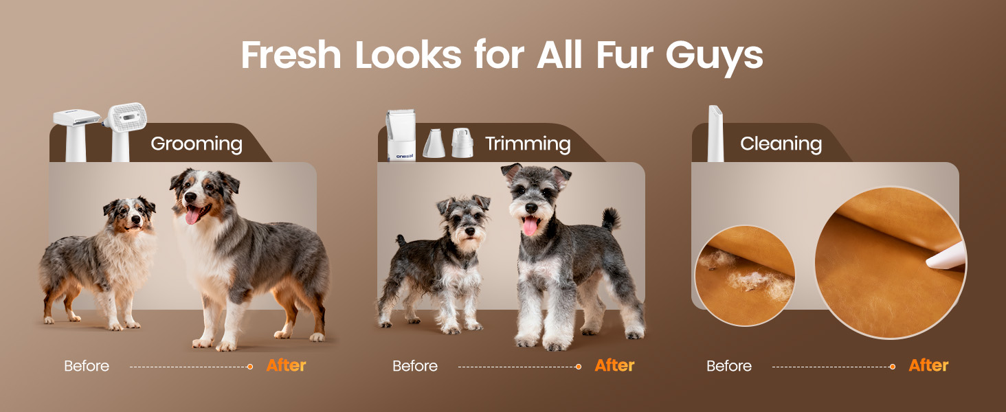 oneisall Dog Grooming Vacuum, 15000Pa Pet Vacuum Kit Shedding 99% Pet Hair, Dog Grooming Clippers with Trimmer Nail Grinder, ≤ 59dB Quiet Brush with 6 Tools, 2L Canister for Home Cleaning,Cozy SE 2 detail 10