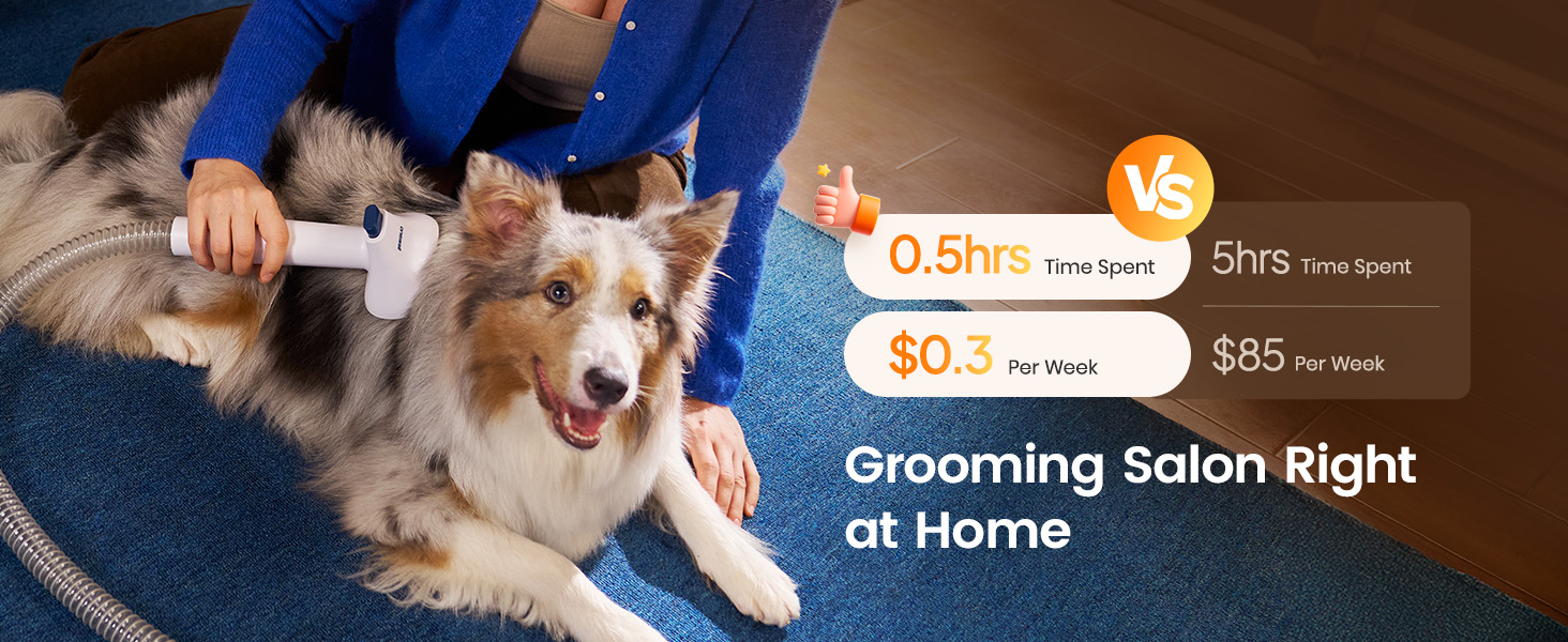 oneisall Dog Grooming Vacuum, 15000Pa Pet Vacuum Kit Shedding 99% Pet Hair, Dog Grooming Clippers with Trimmer Nail Grinder, ≤ 59dB Quiet Brush with 6 Tools, 2L Canister for Home Cleaning,Cozy SE 2 detail 12