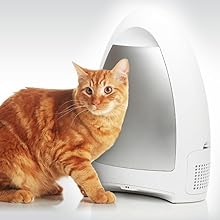 EyeVac Home Touchless Vacuum Automatic Dustpan - Great for Sweeping Pet Hair Food Dirt Kitchen - Ultra Fast & Powerful, No More Bending Down, Bagless, Corded, Automatic Sensors, 1000 Watt (White) detail 14