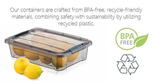 Tribello 12.5 Quart Storage Bins with Lids, Plastic Storage Containers with Latching Lids For Organizing - Tinted - (15.5' x 12" x 6") - Set of 2 - Made in EU detail 9