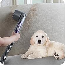 Kenmore 600 Series Pet Friendly Lightweight Bagged Canister Vacuum with Pet PowerMate, Pop-N-Go Brush, 2 Motors, HEPA Filter, Aluminum Telescoping Wand, Retractable Cord and 4 Cleaning Tools, Purple detail 6