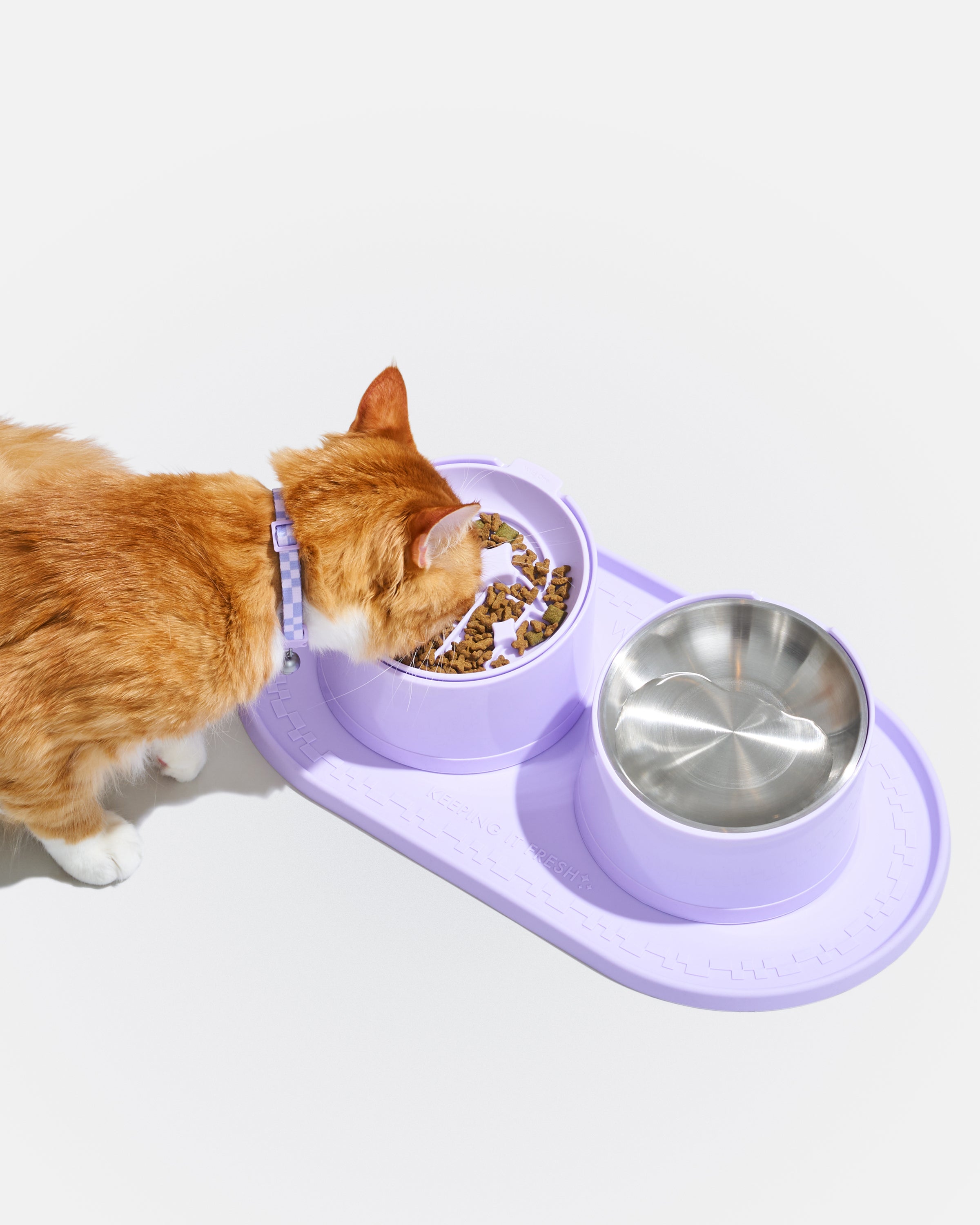 Cat Placemat - View 4