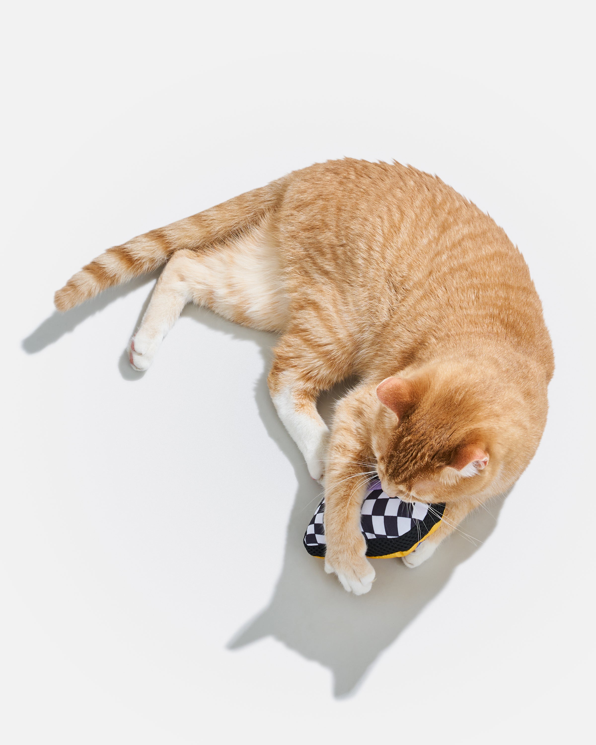 Playful Plush Cat Toy - View 6