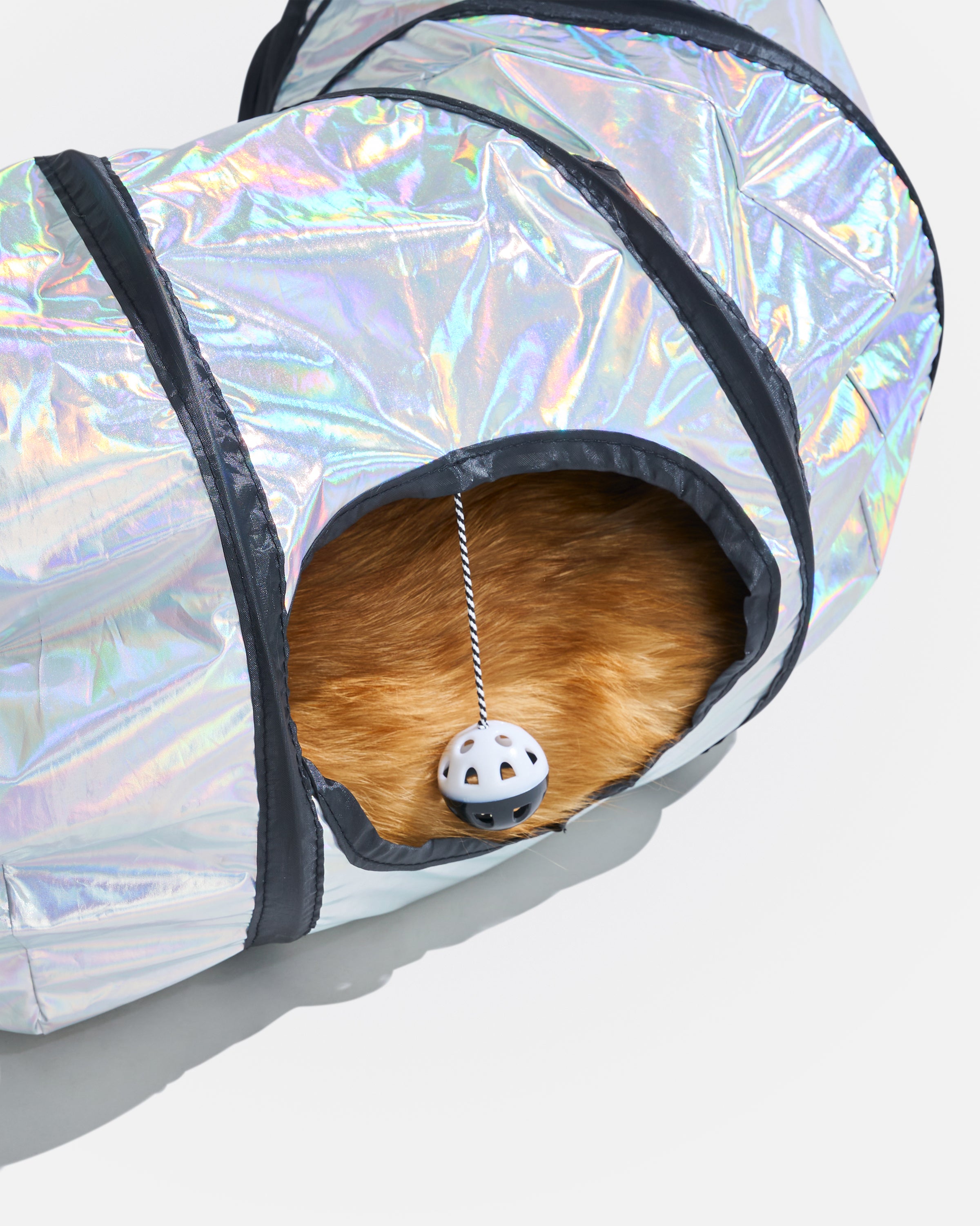 Cat Tunnel - View 4