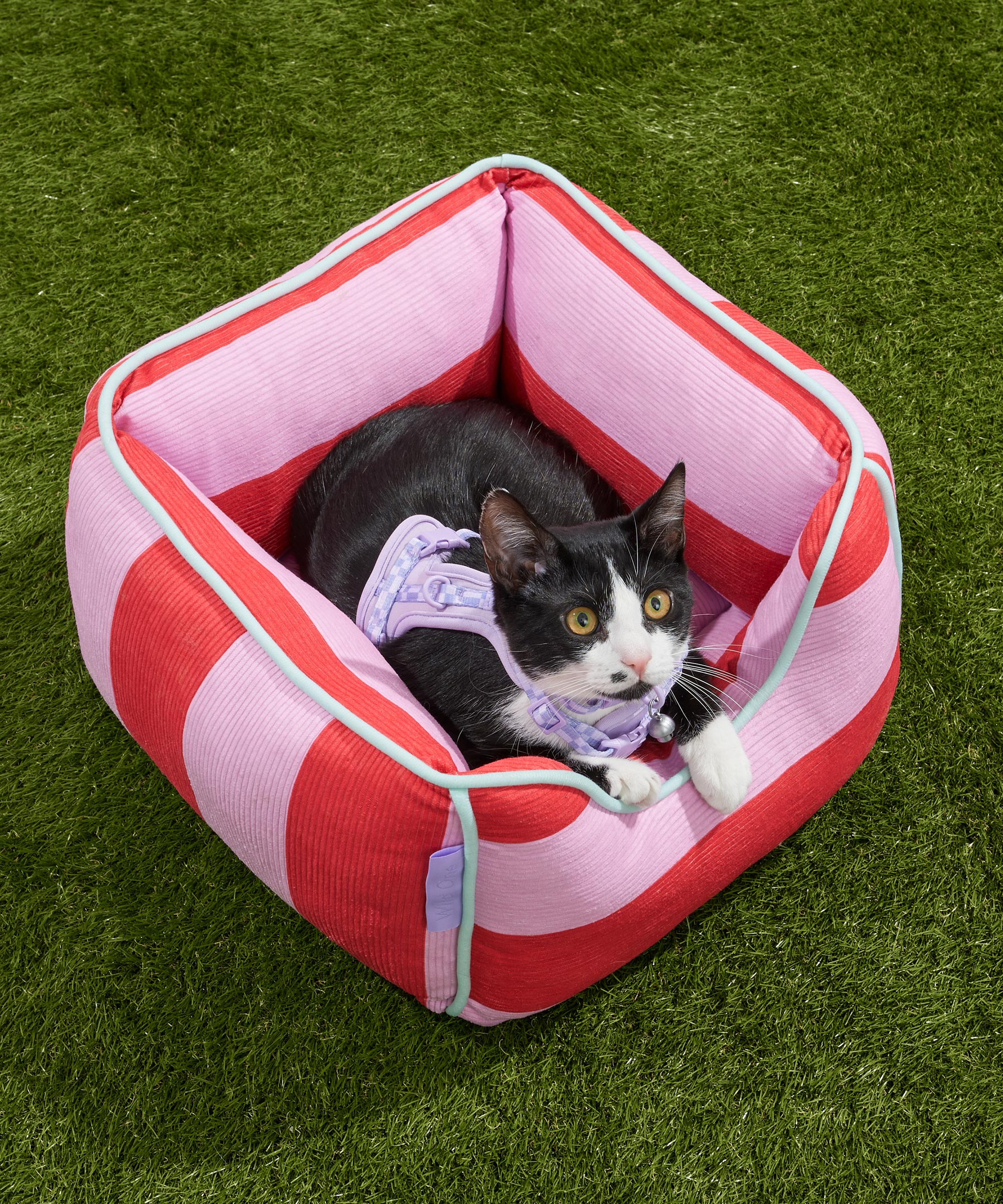 Cat Bolster Bed - View 3