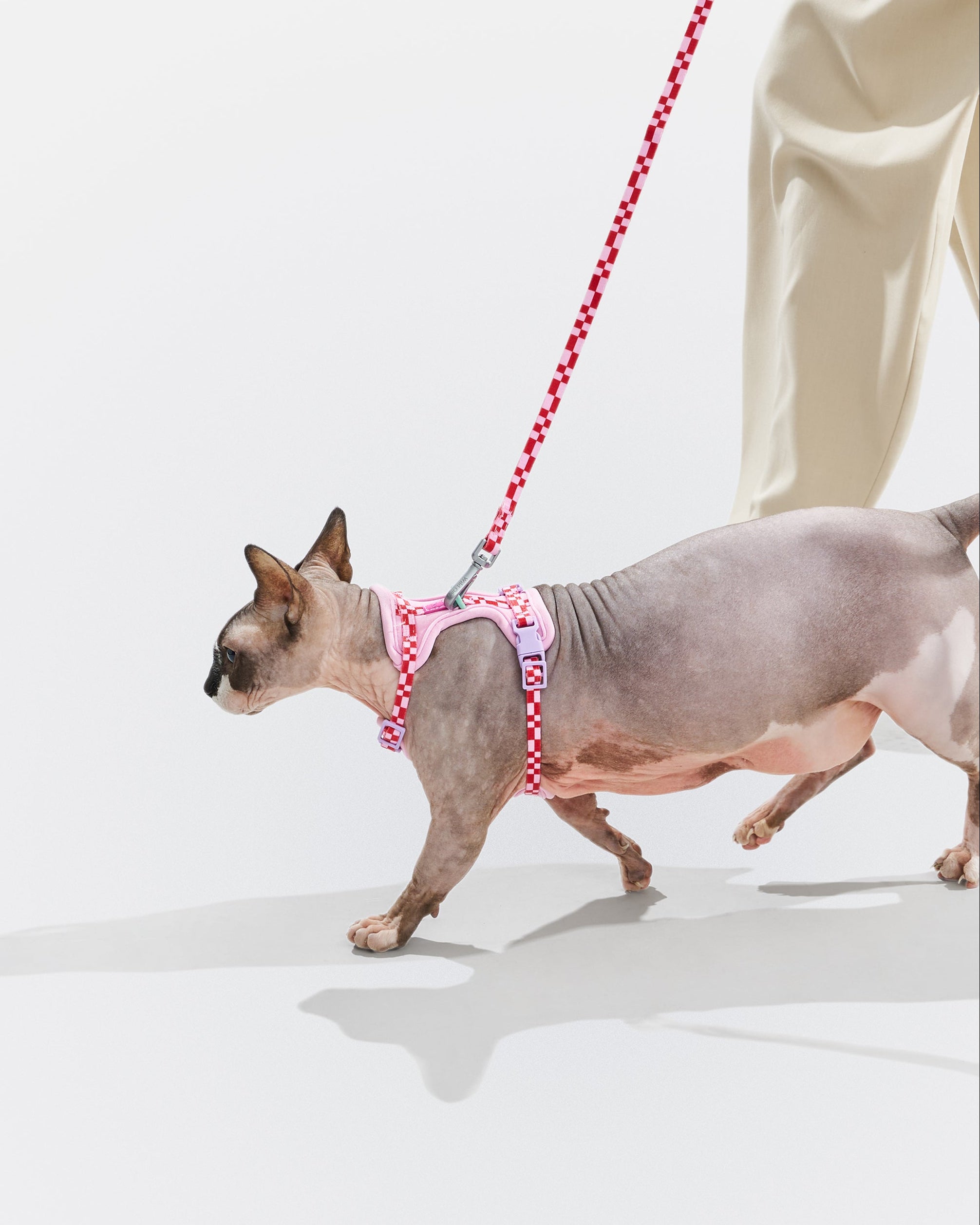Cat Harness & Leash - View 2