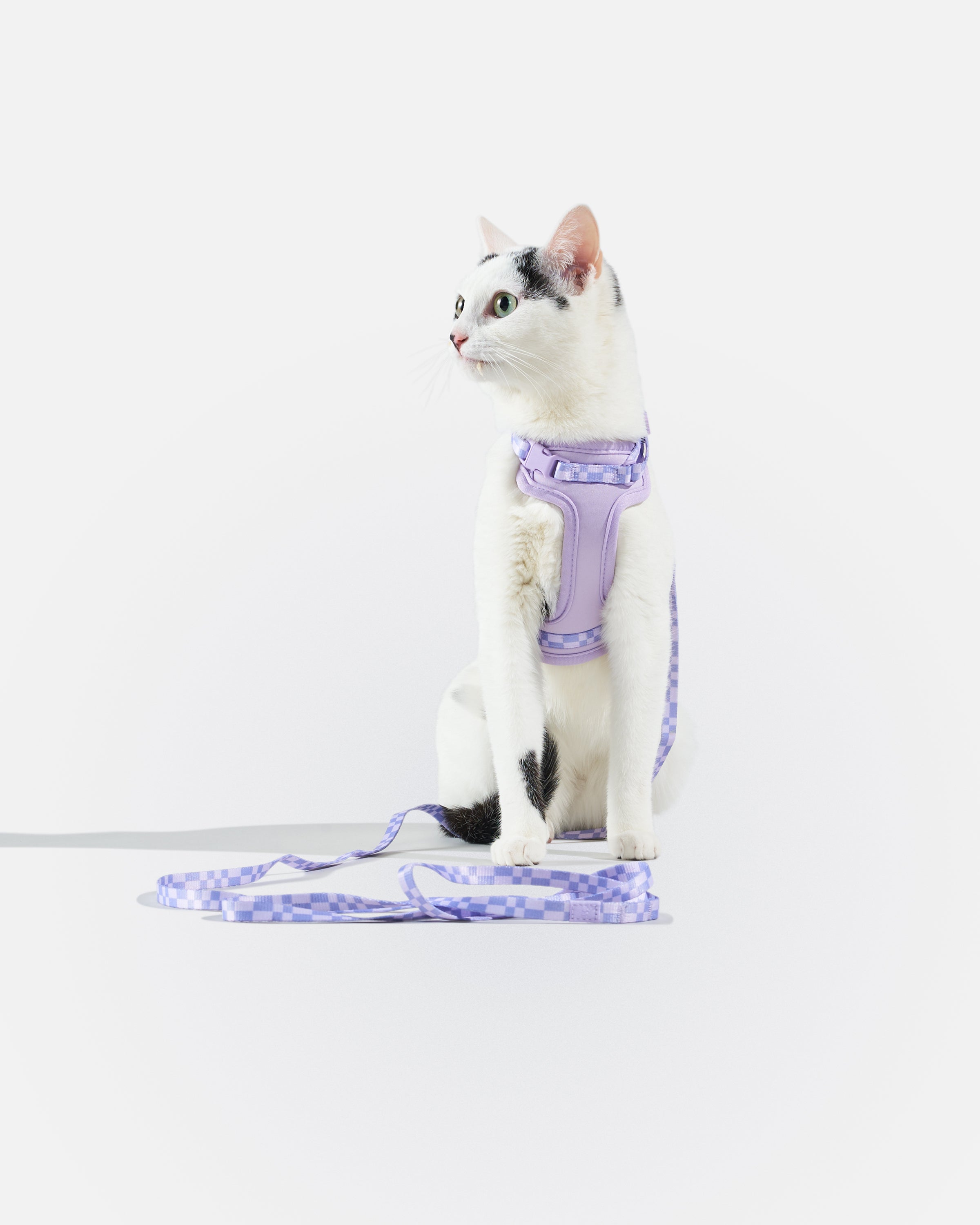 Cat Harness & Leash - View 5