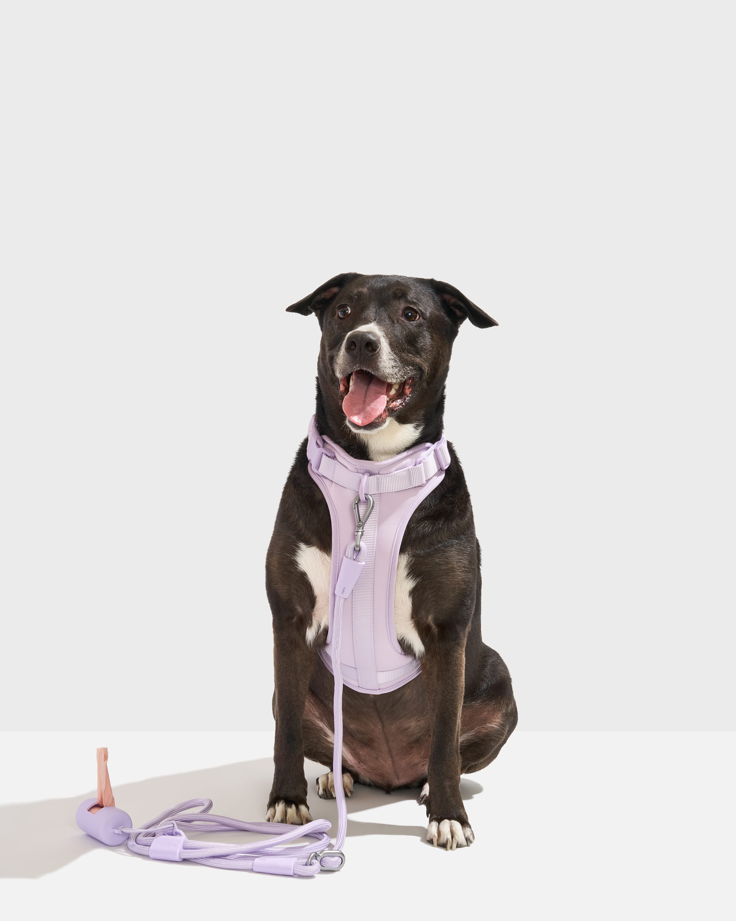 Cushioned Harness + Hands-Free Rope Leash Walk Kit - View 2