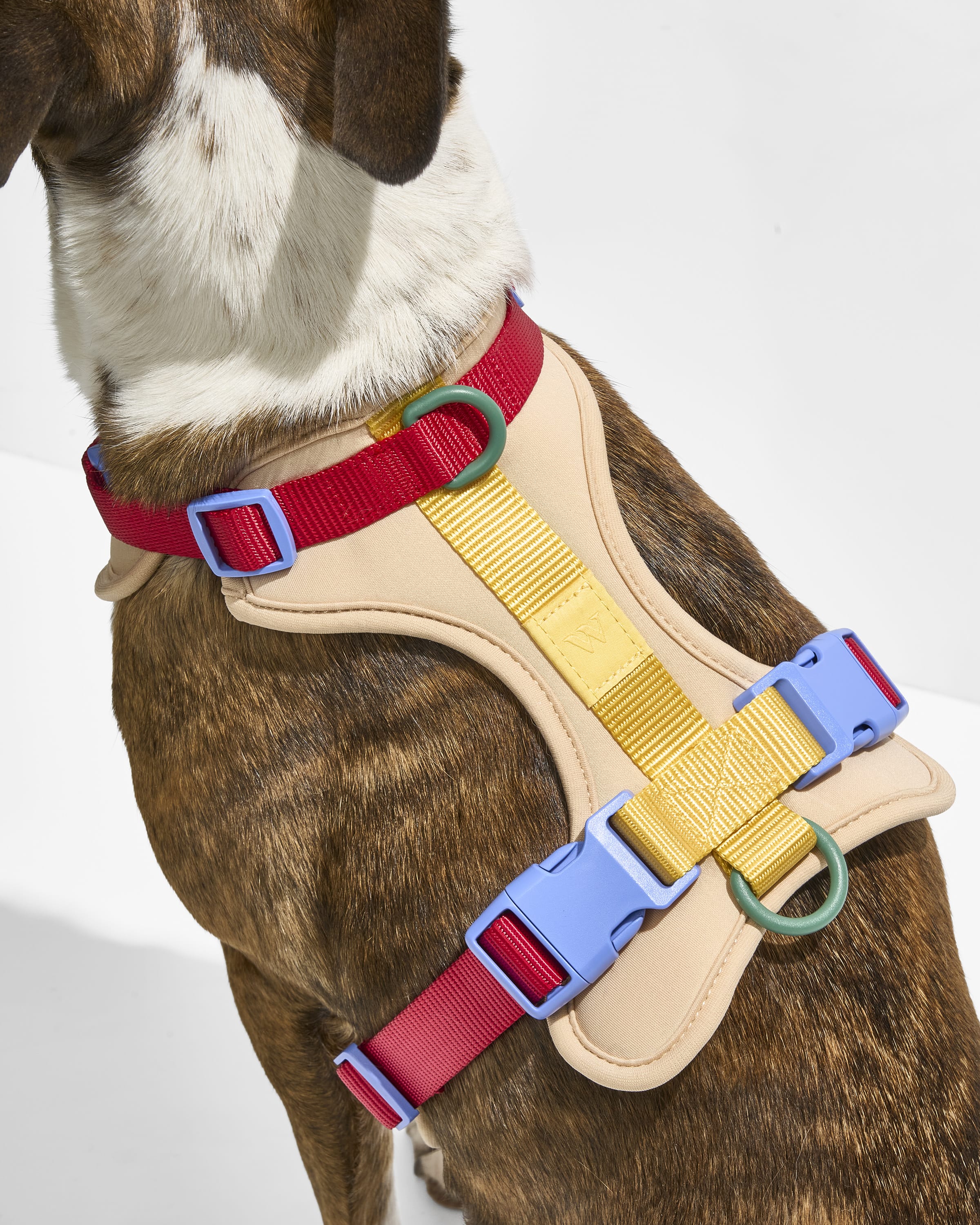 Cushioned Harness + Hands-Free Rope Leash Walk Kit - View 6