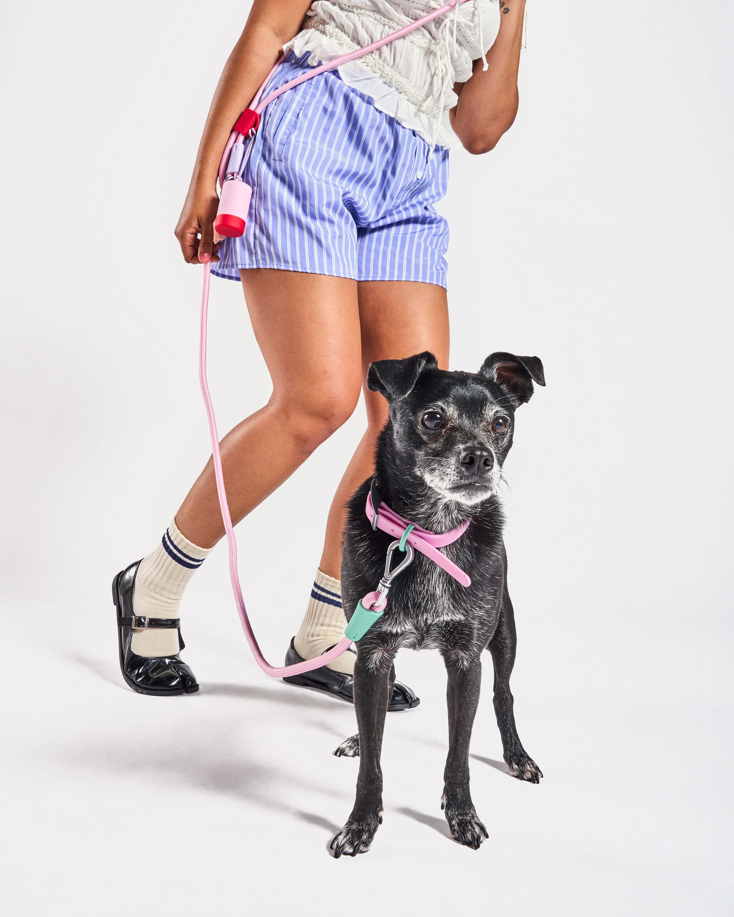 Waterproof Collar + Hands-Free Rope Leash Walk Kit - View 2
