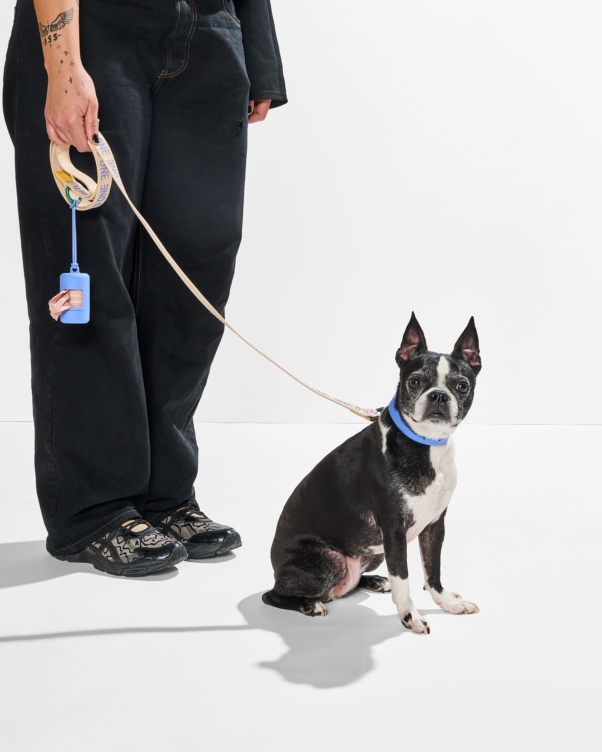 Waterproof Collar + Lightweight Leash Walk Kit - View 4