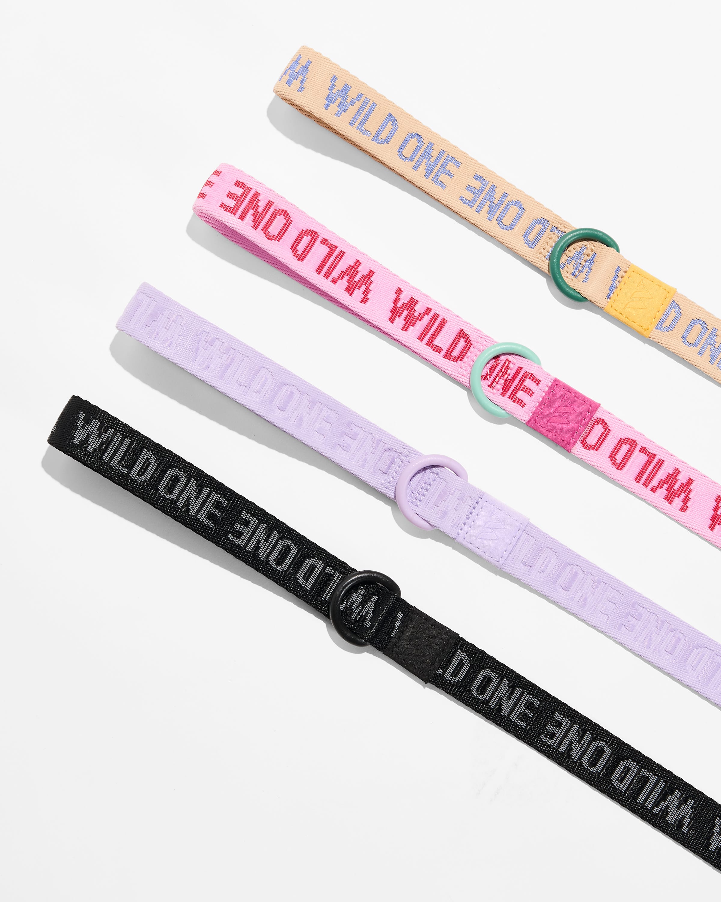 Quick-Release Collar + Lightweight Leash Walk Kit - View 6