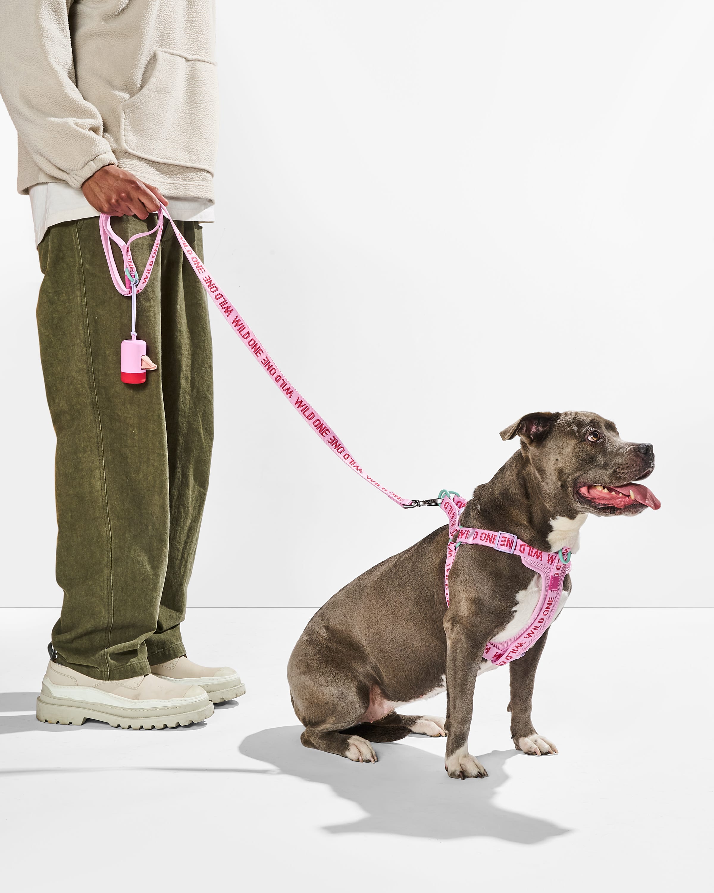 Step-In Harness + Lightweight Leash Walk Kit - View 2