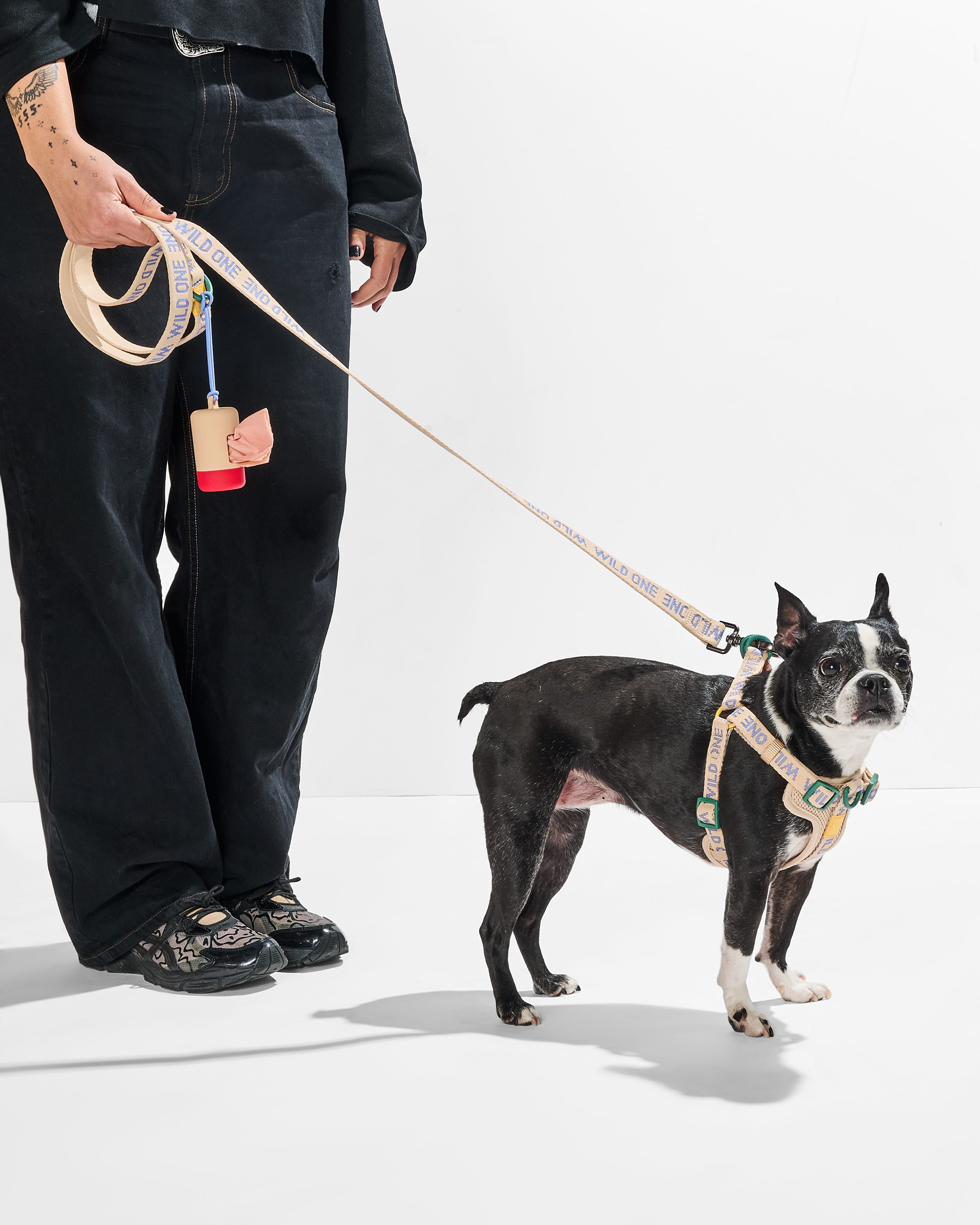 Lightweight Dog Leash - View 5