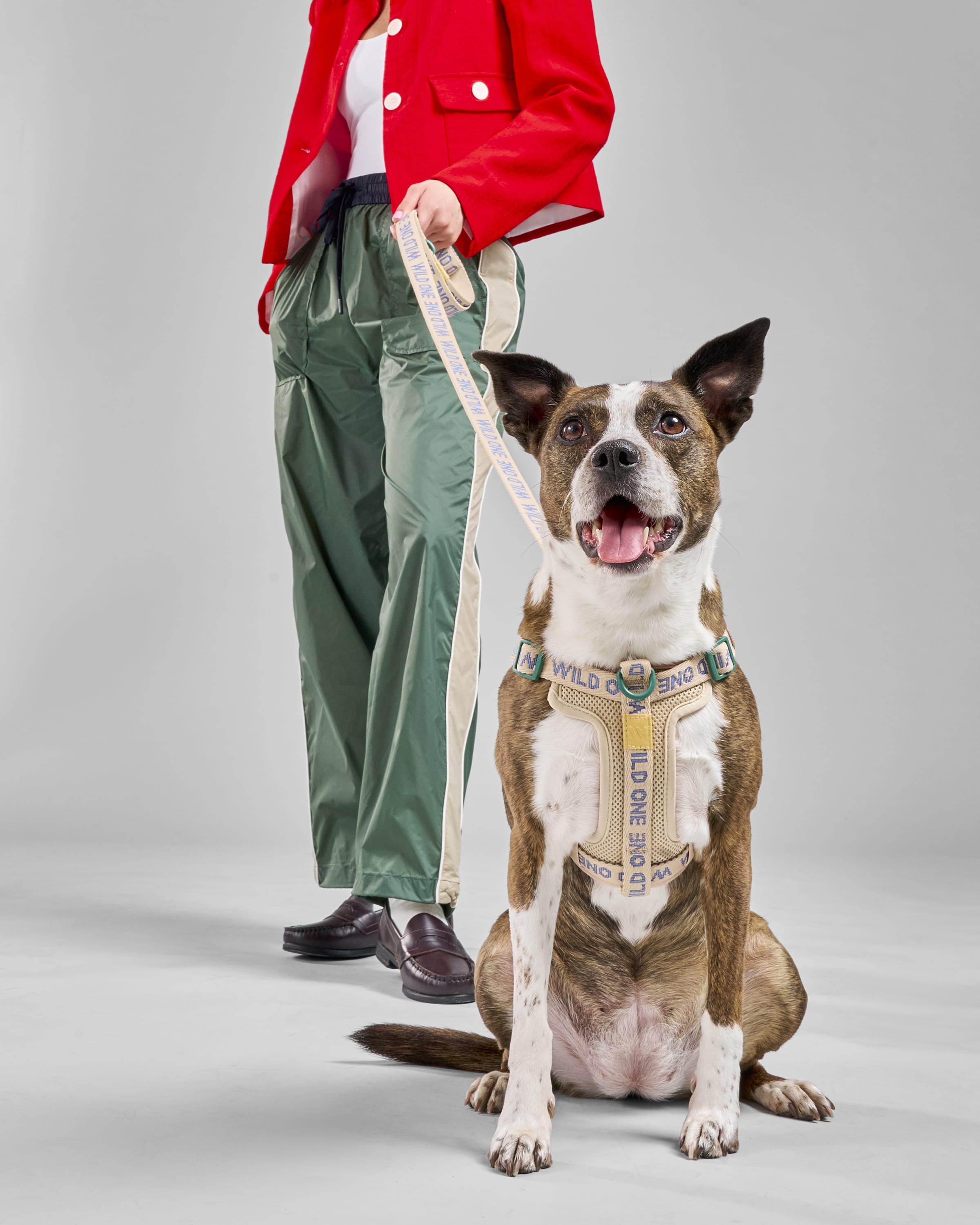 Step-In Dog Harness - View 6