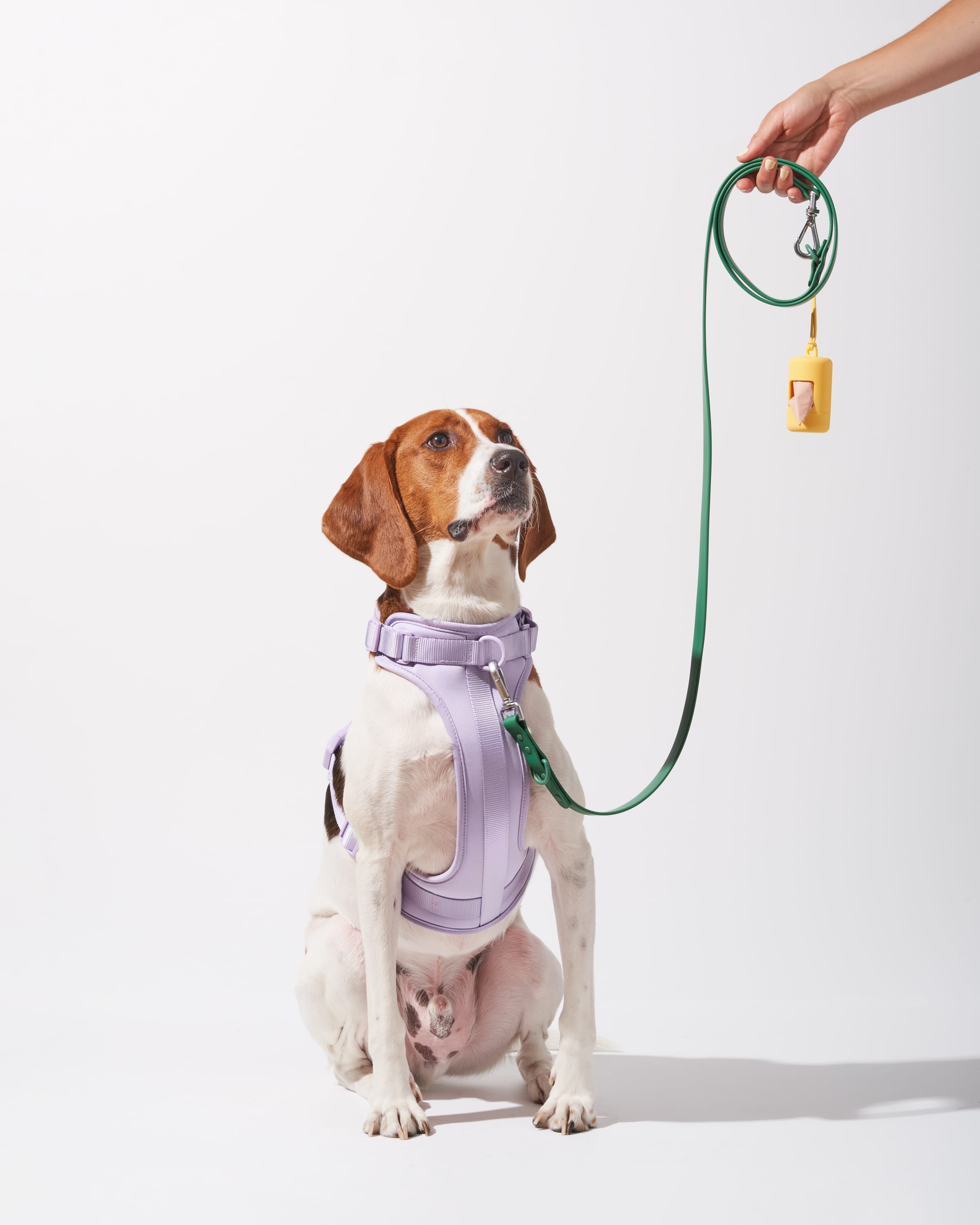 Cushioned Harness + Waterproof Leash Walk Kit - View 5