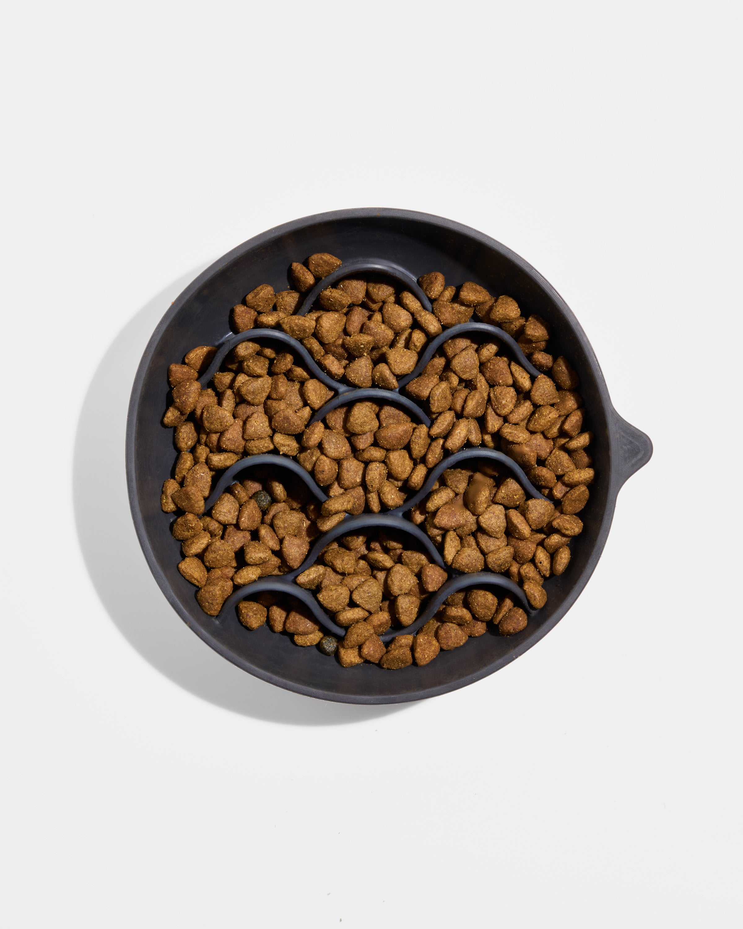 Slow Feeder - View 4