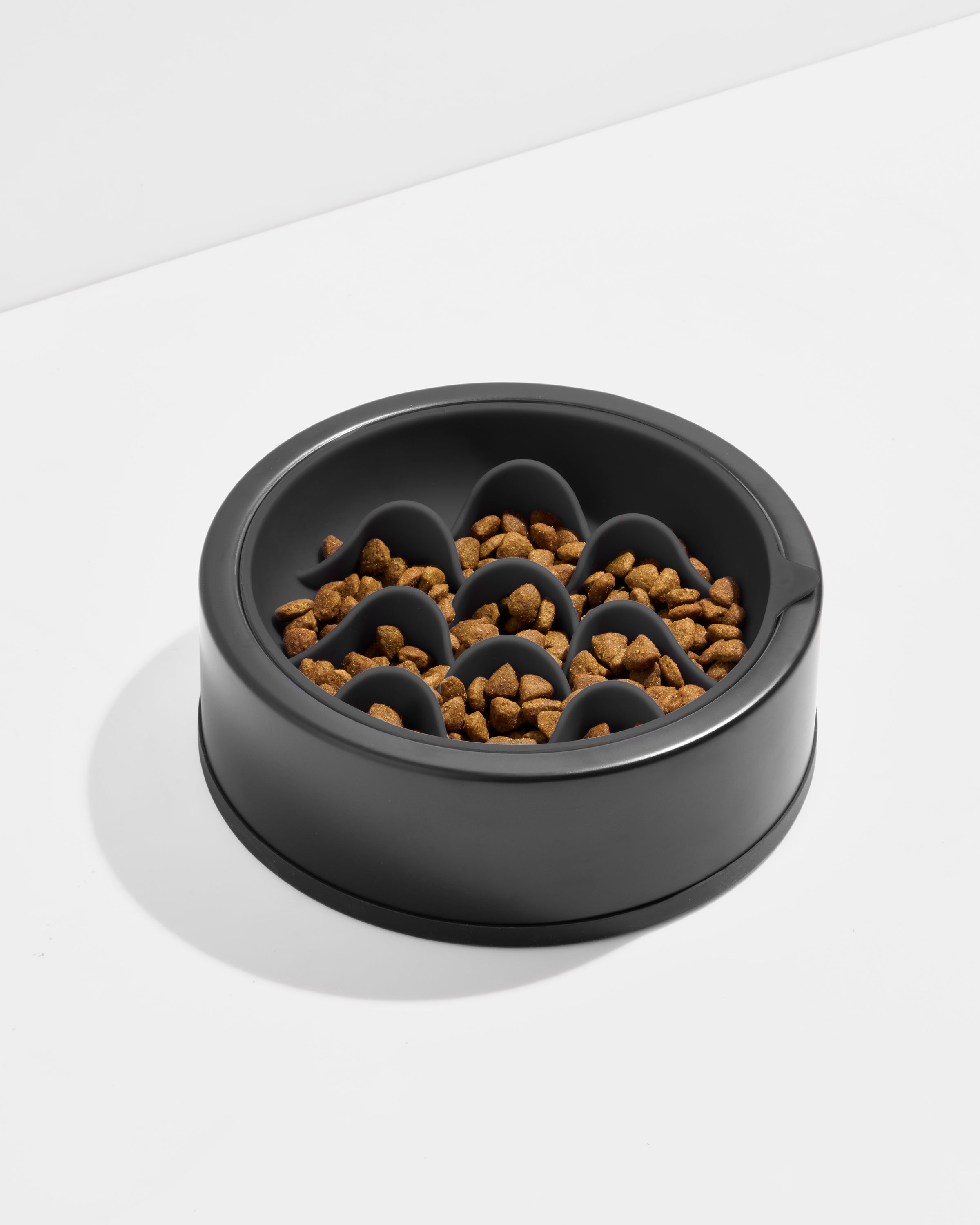 Slow Feeder - View 6