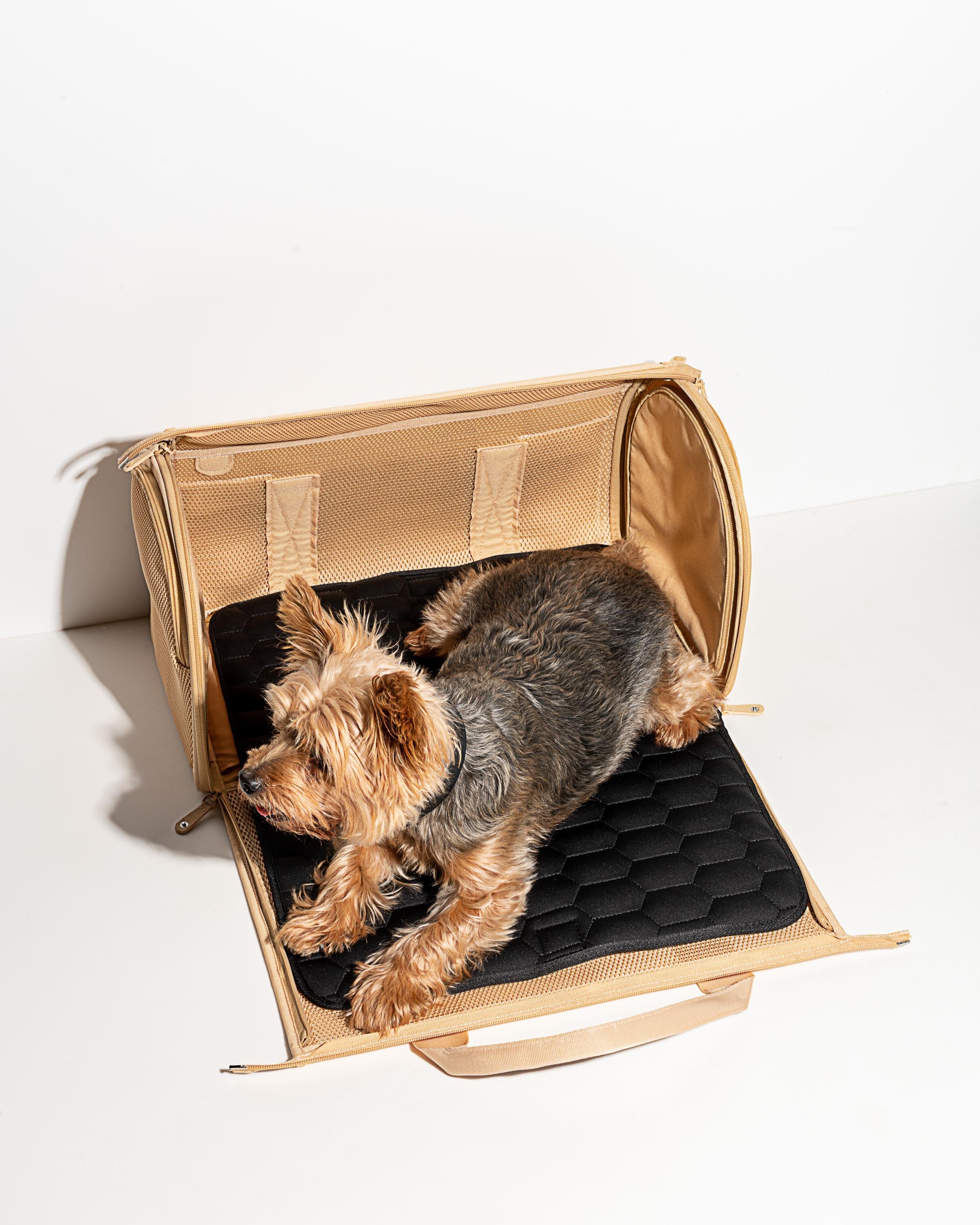 Travel Carrier - View 6