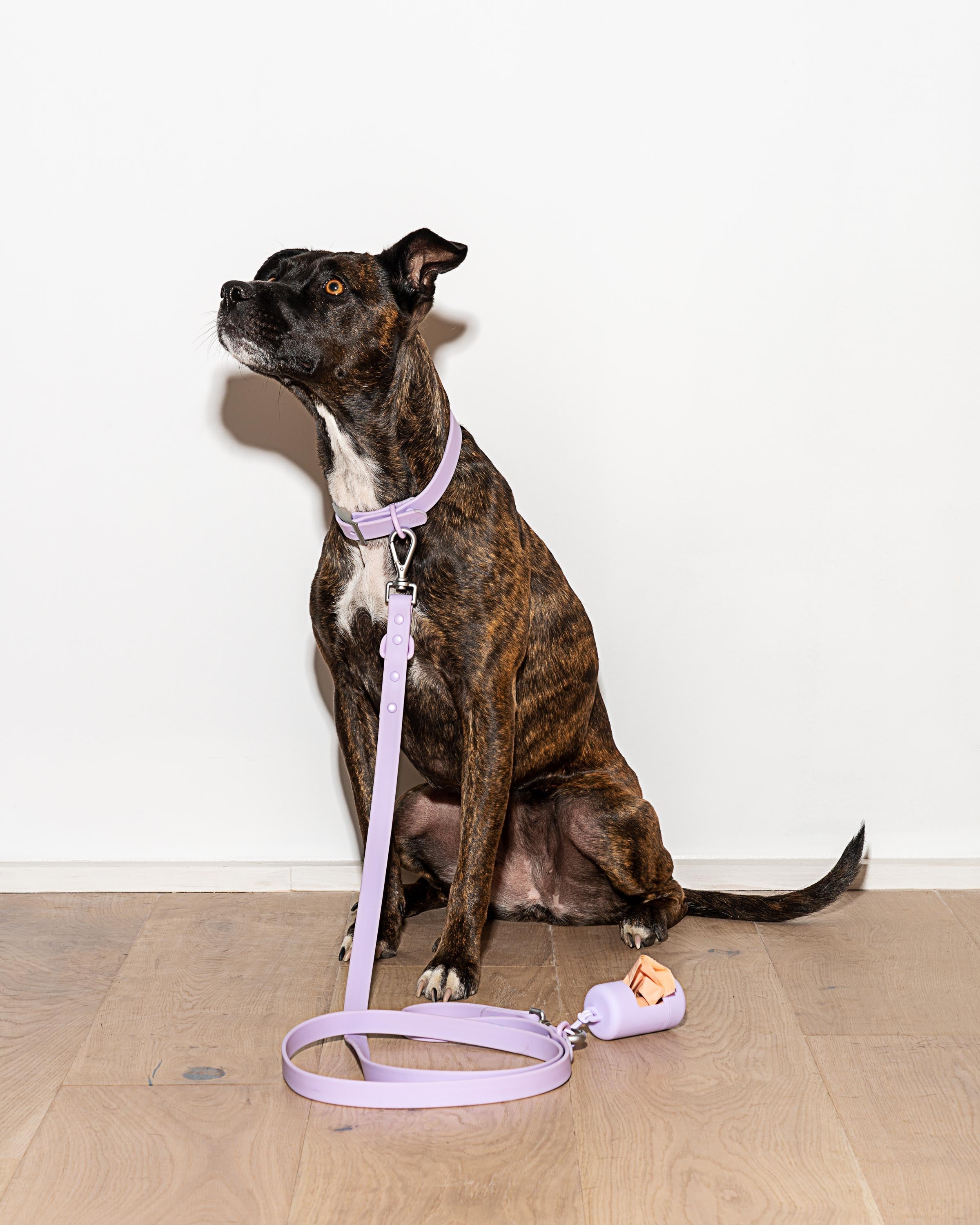 Waterproof Dog Leash - View 6