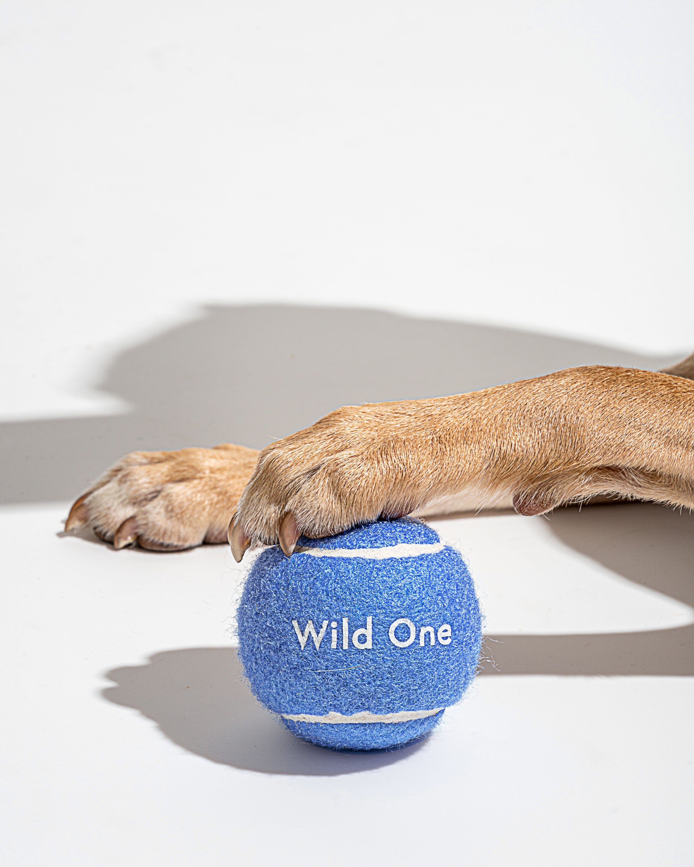Tennis Balls - View 5